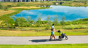 An afternoon stroll on the pathways surrounding Mahogany’s wetland